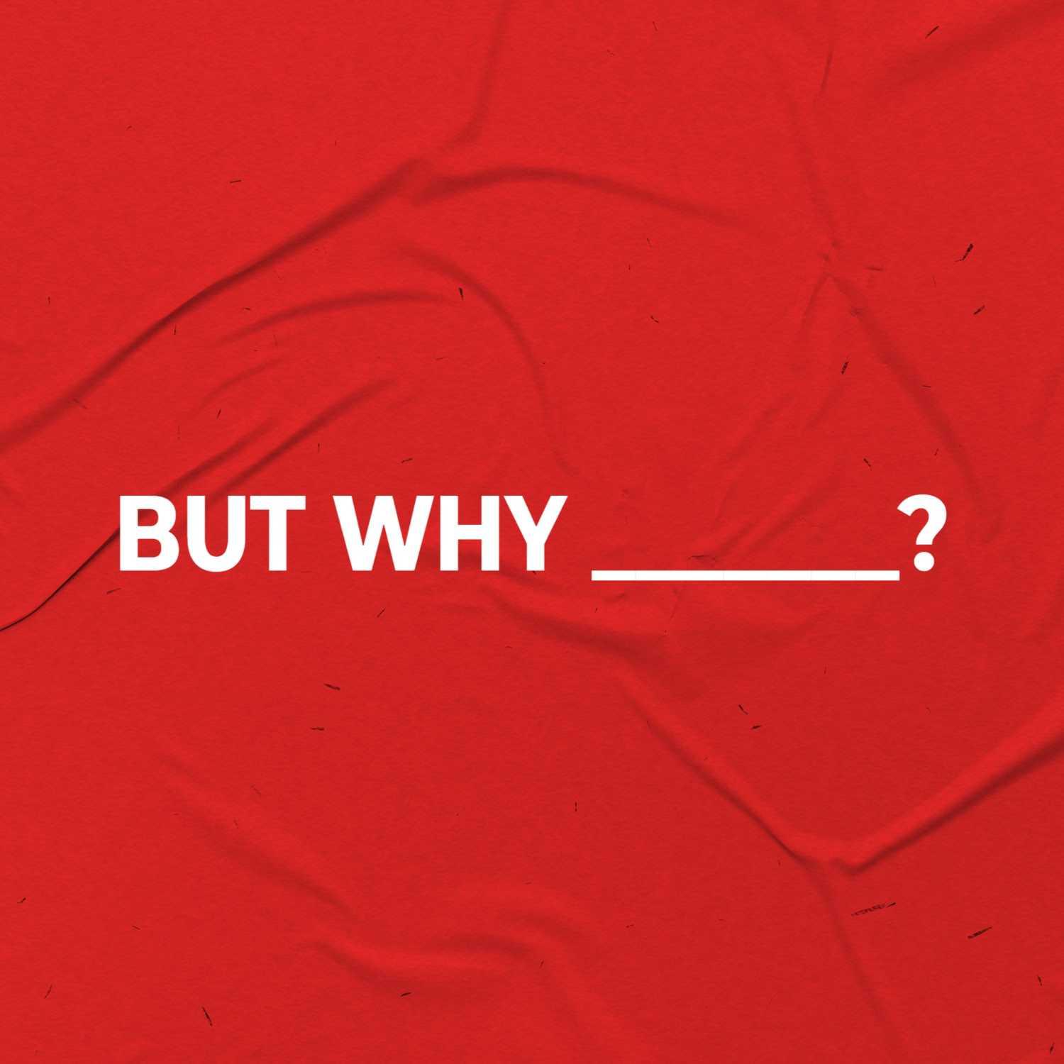But Why Baptism? artwork