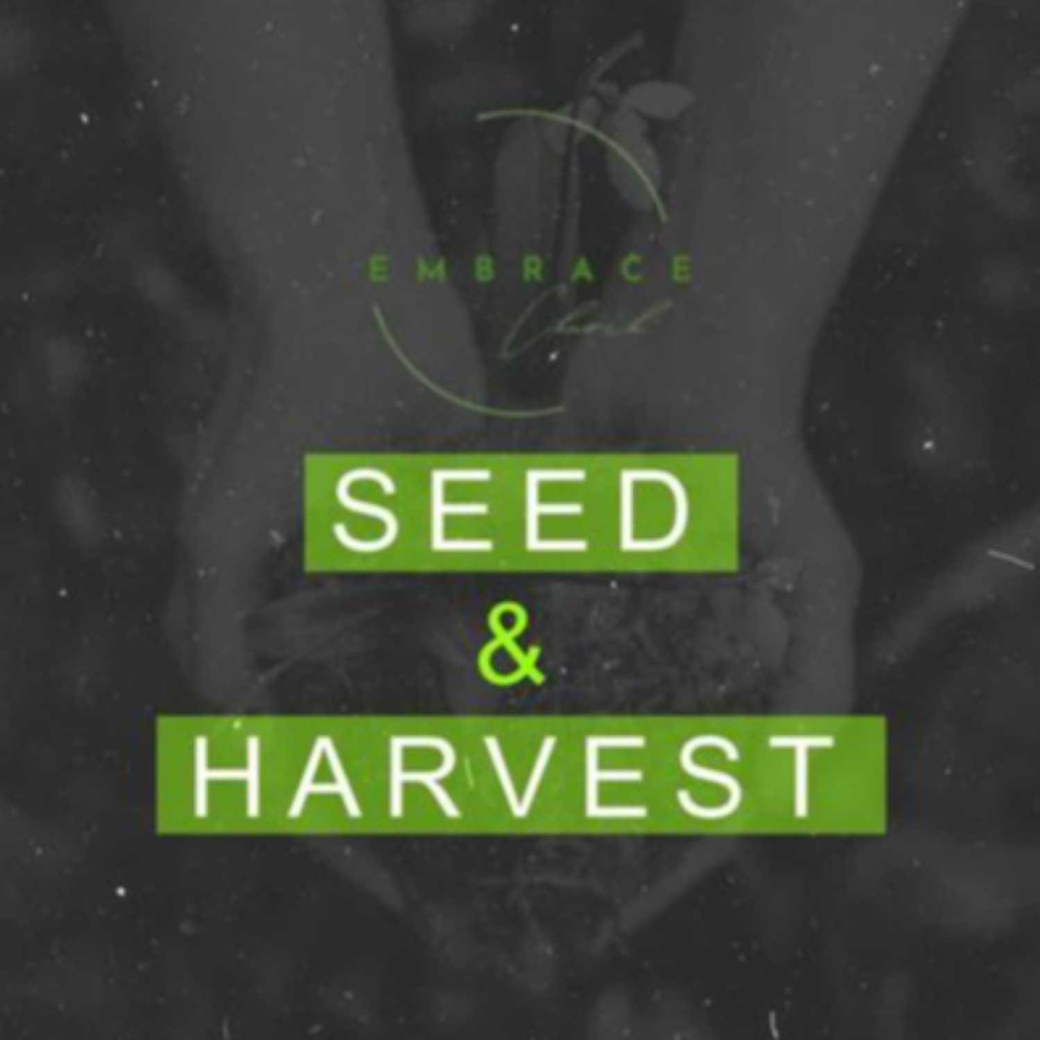 Sow the Seed artwork