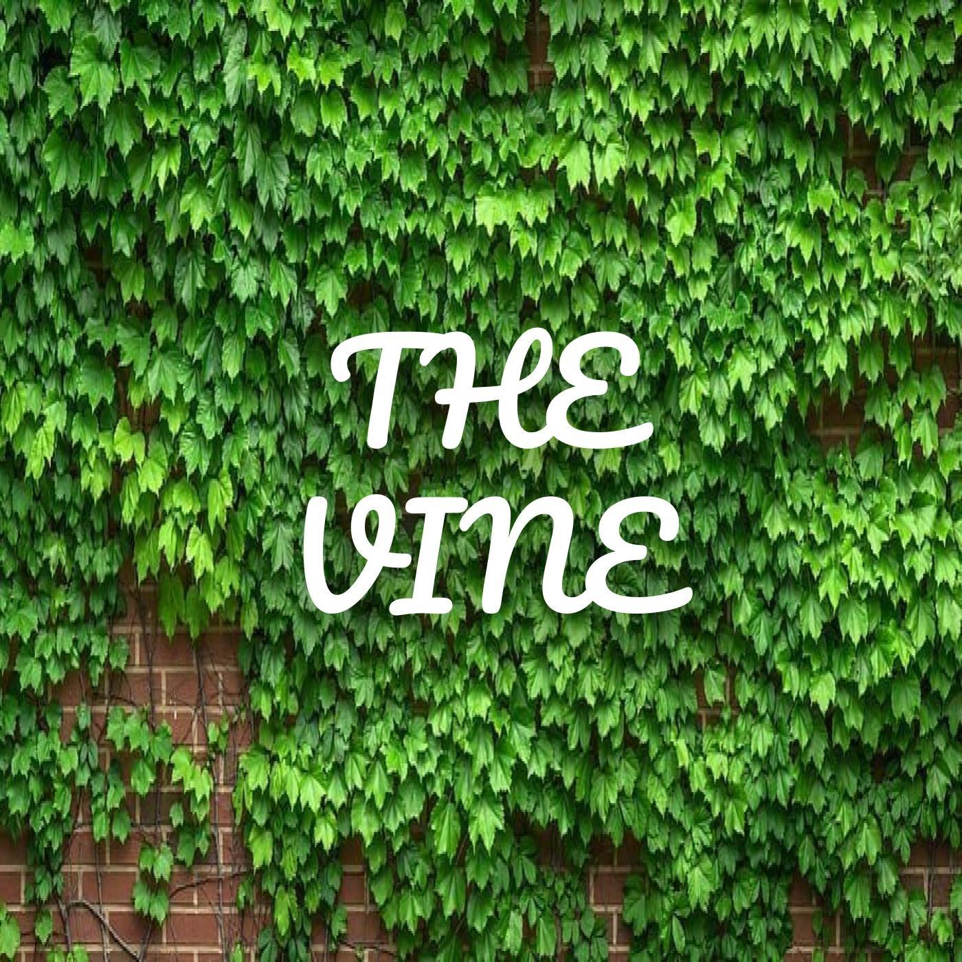 The Vine artwork